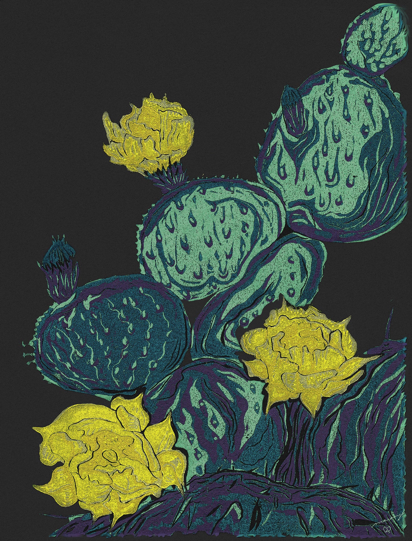 Desert Blooms Color Fine Art Print Southwest Bright Prickly Pear Cactus Flowers