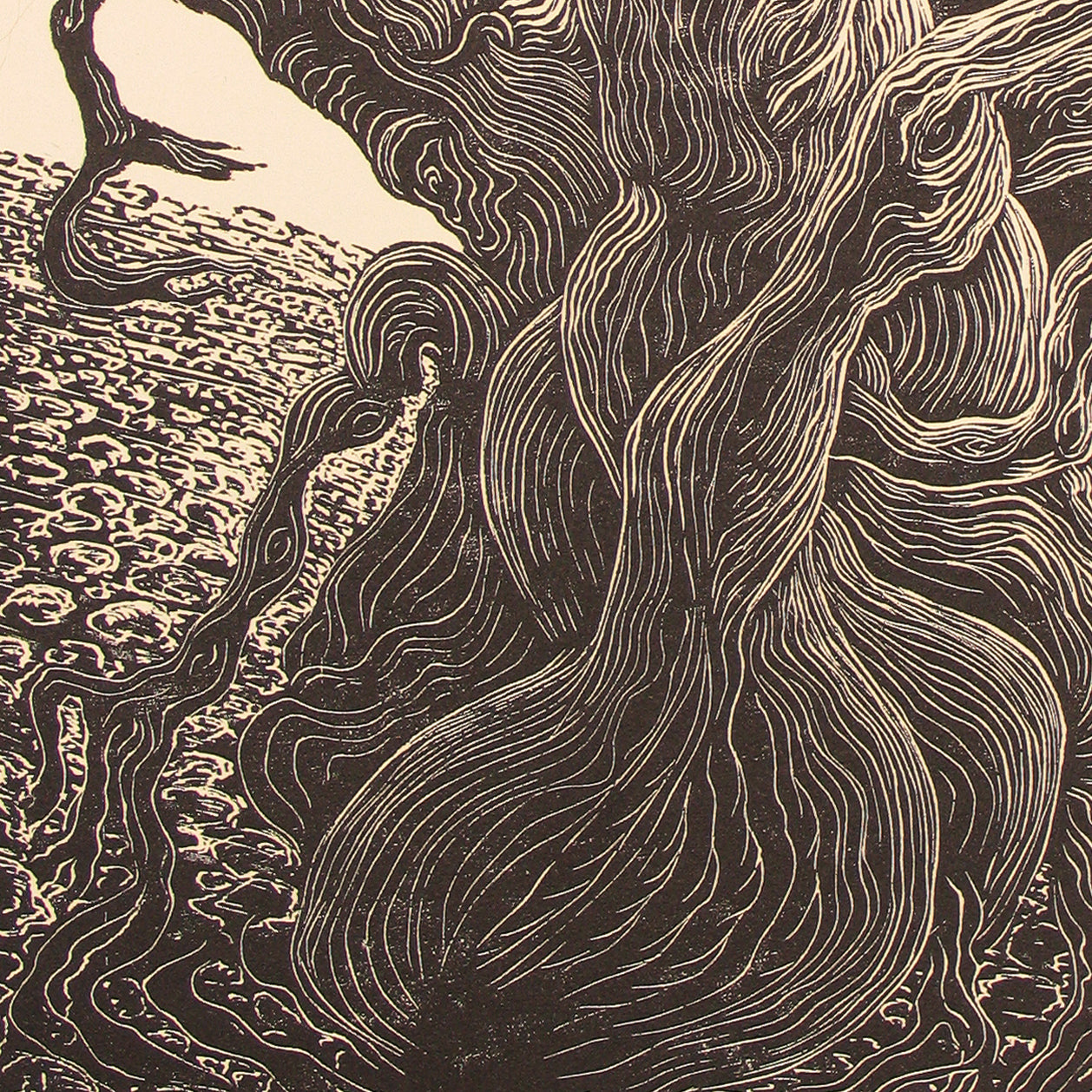 Bristlecone Pine Old Man Timberline Traveler Mountain Fine Art Print Wood Engraving