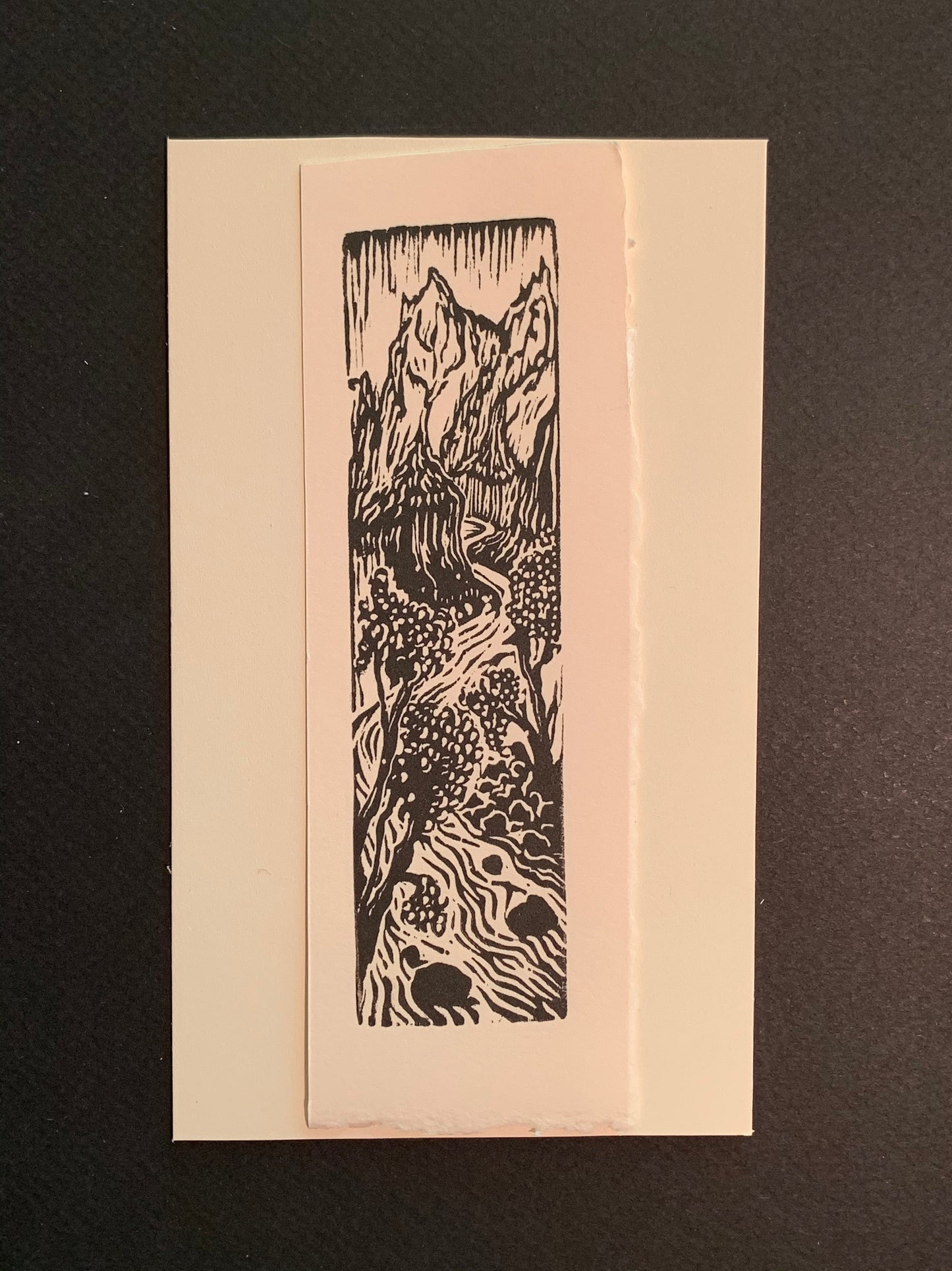 Canyon River Rapids Run original woodcut small print from Water in the Desert