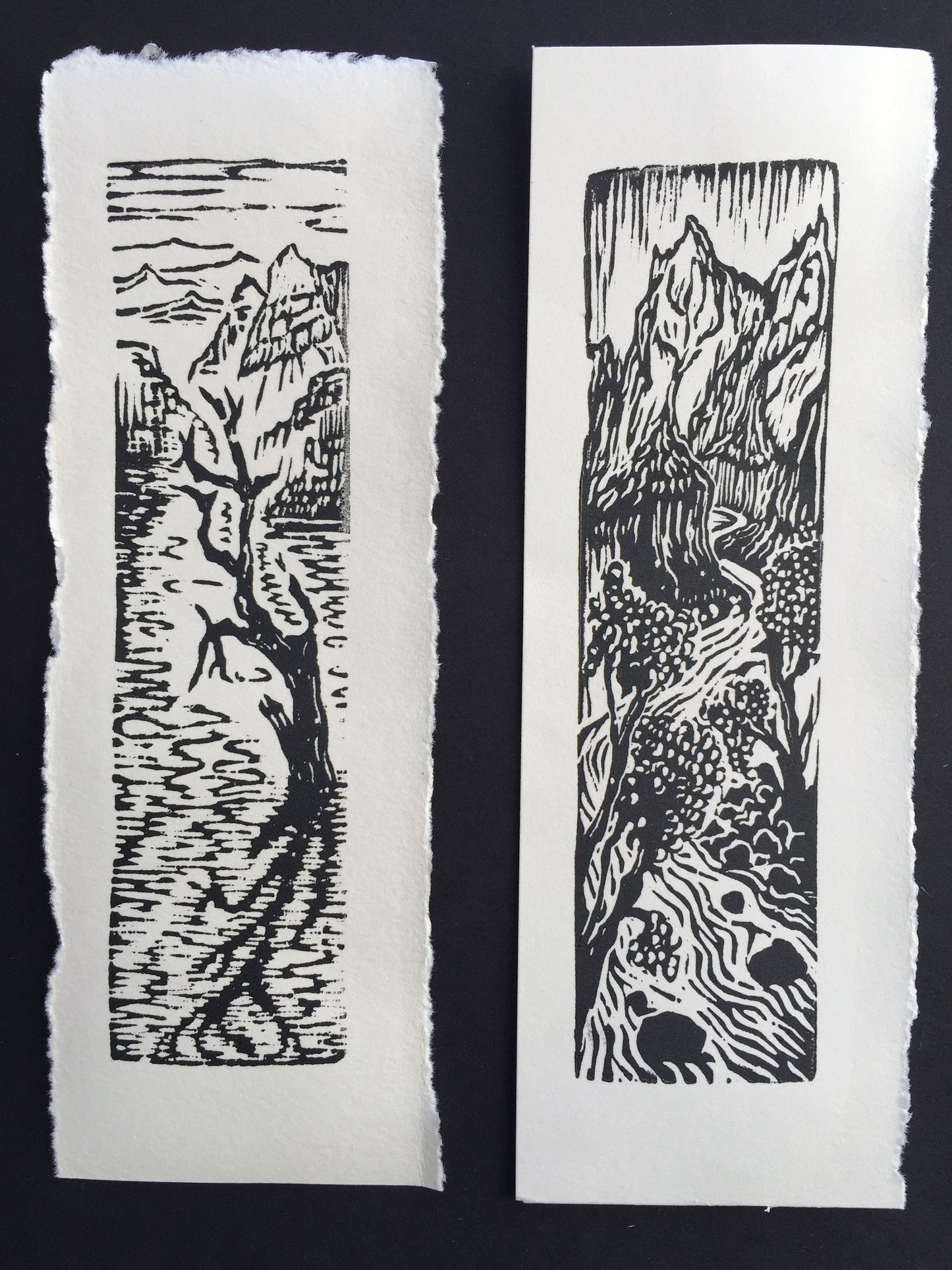 SET 4 Original Woodcut Prints Water in the Desert Landscape Collection
