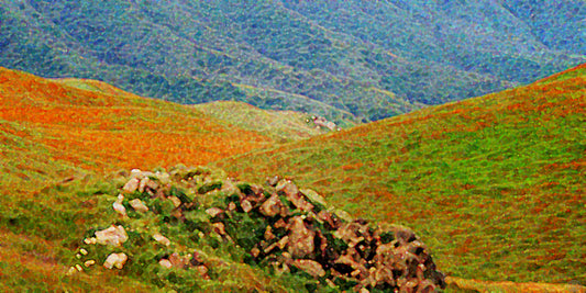 Fine Art Print Bright Meadow Flower Mountains Colorfields II