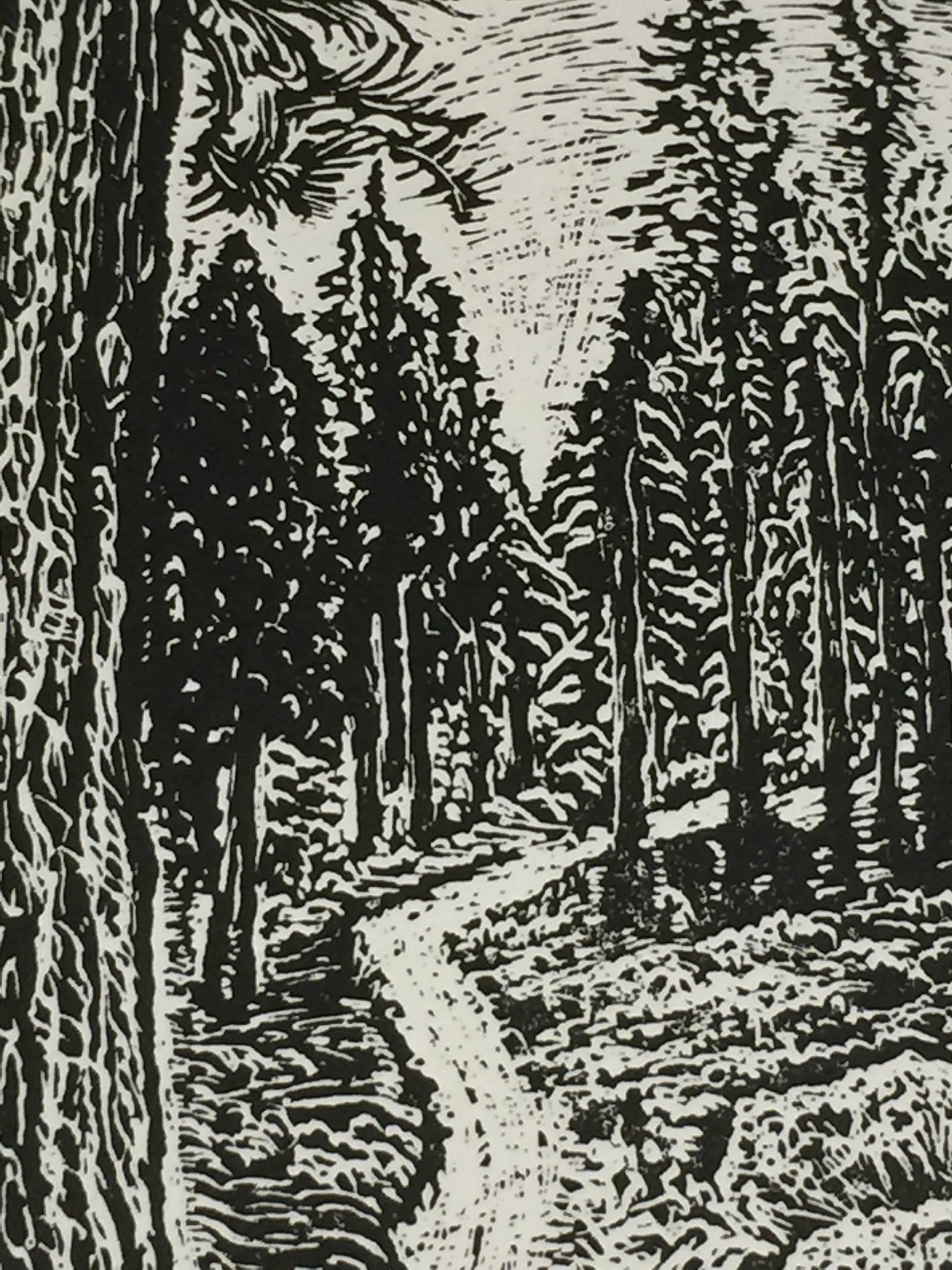 Original Wood Engraving Natures Peace Mountain Sunny Trail Among Pine Trees