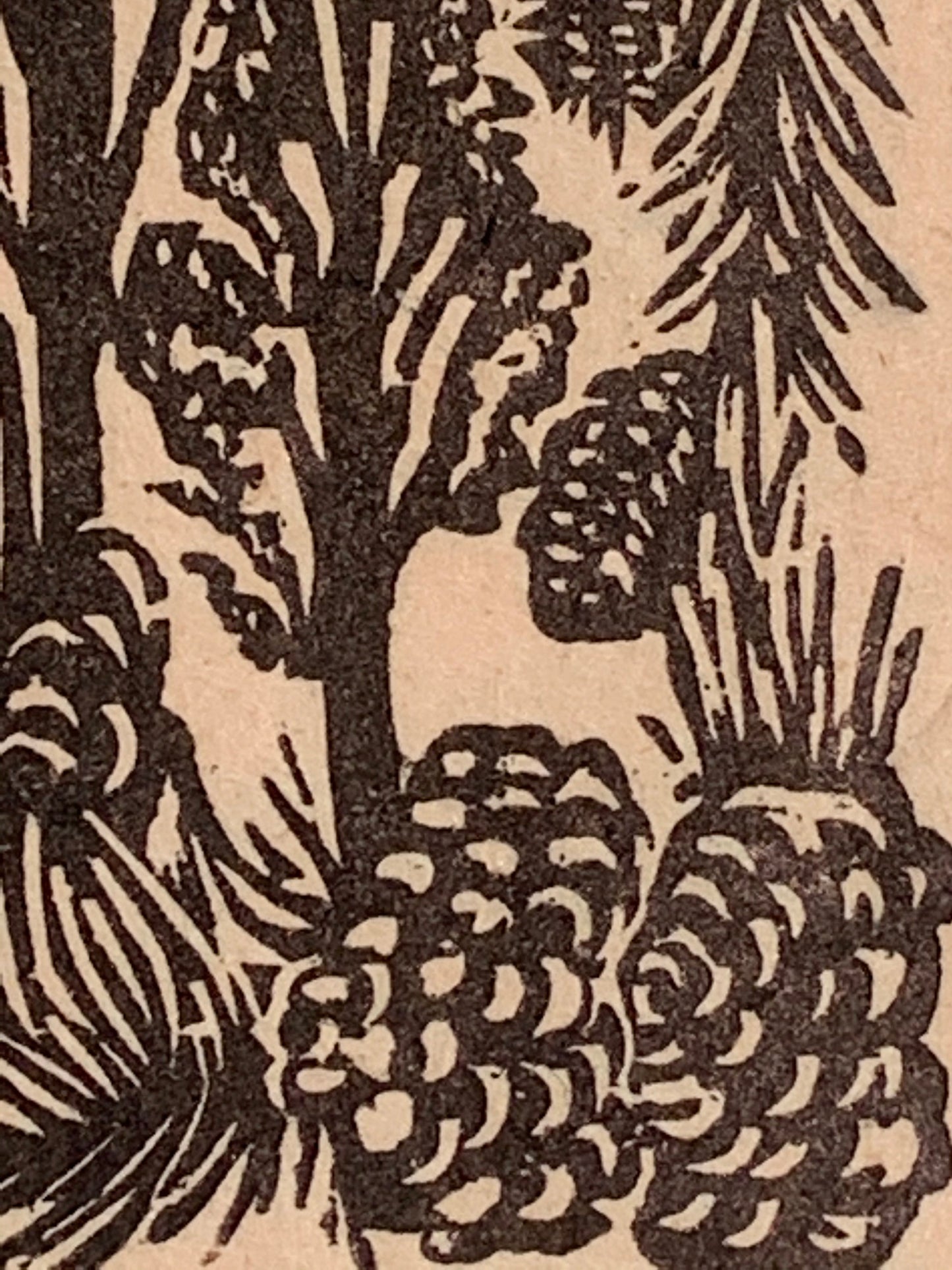 Pinyon Pine Nut Tree Small Original Woodcut from Alpine Mountain Trees Landscape Collection