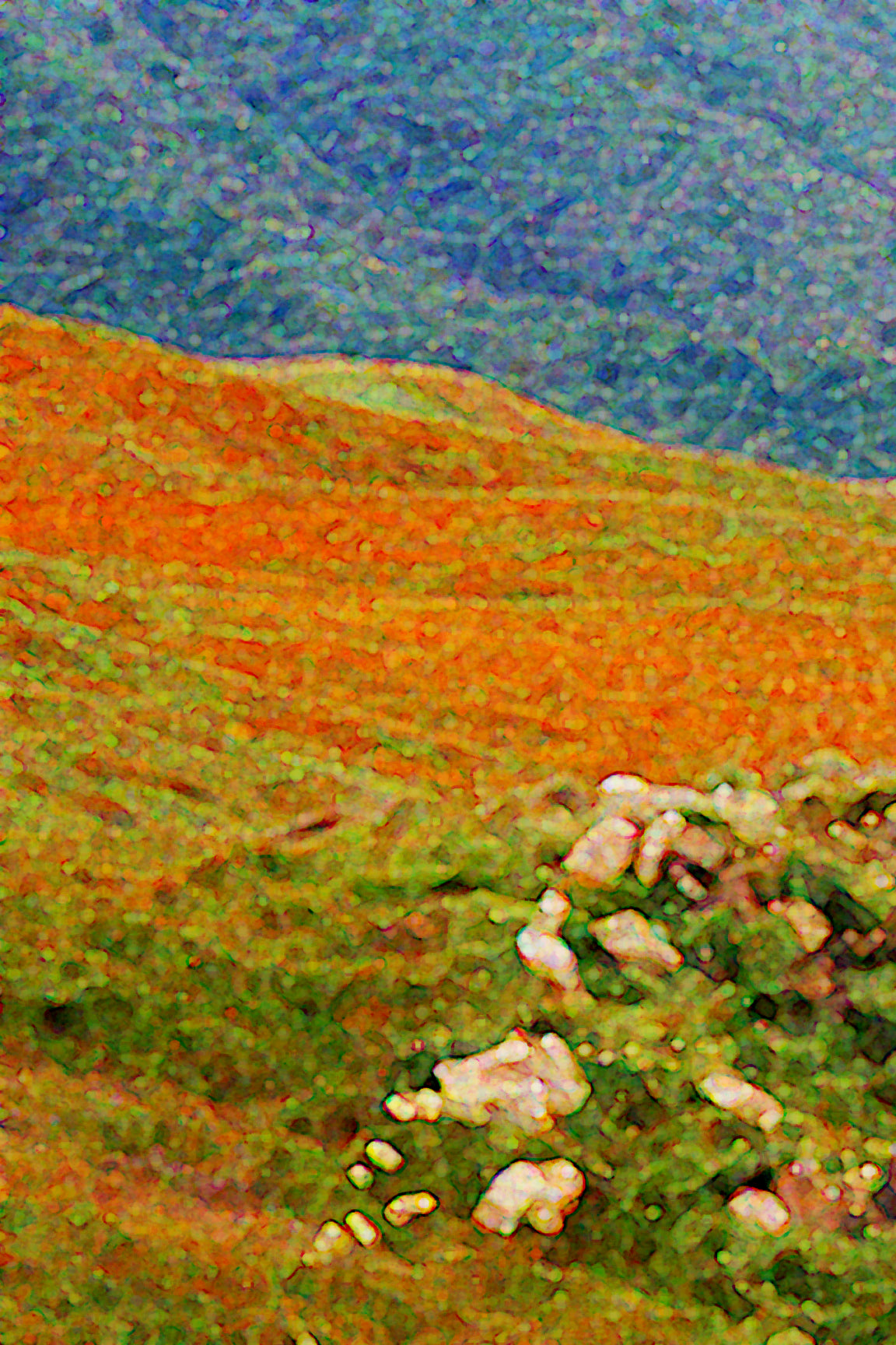 Fine Art Print Bright Meadow Flower Mountains Colorfields II