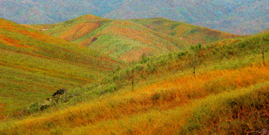 Colorfields I Fine Art Print Bright Meadow Hills Impressionism