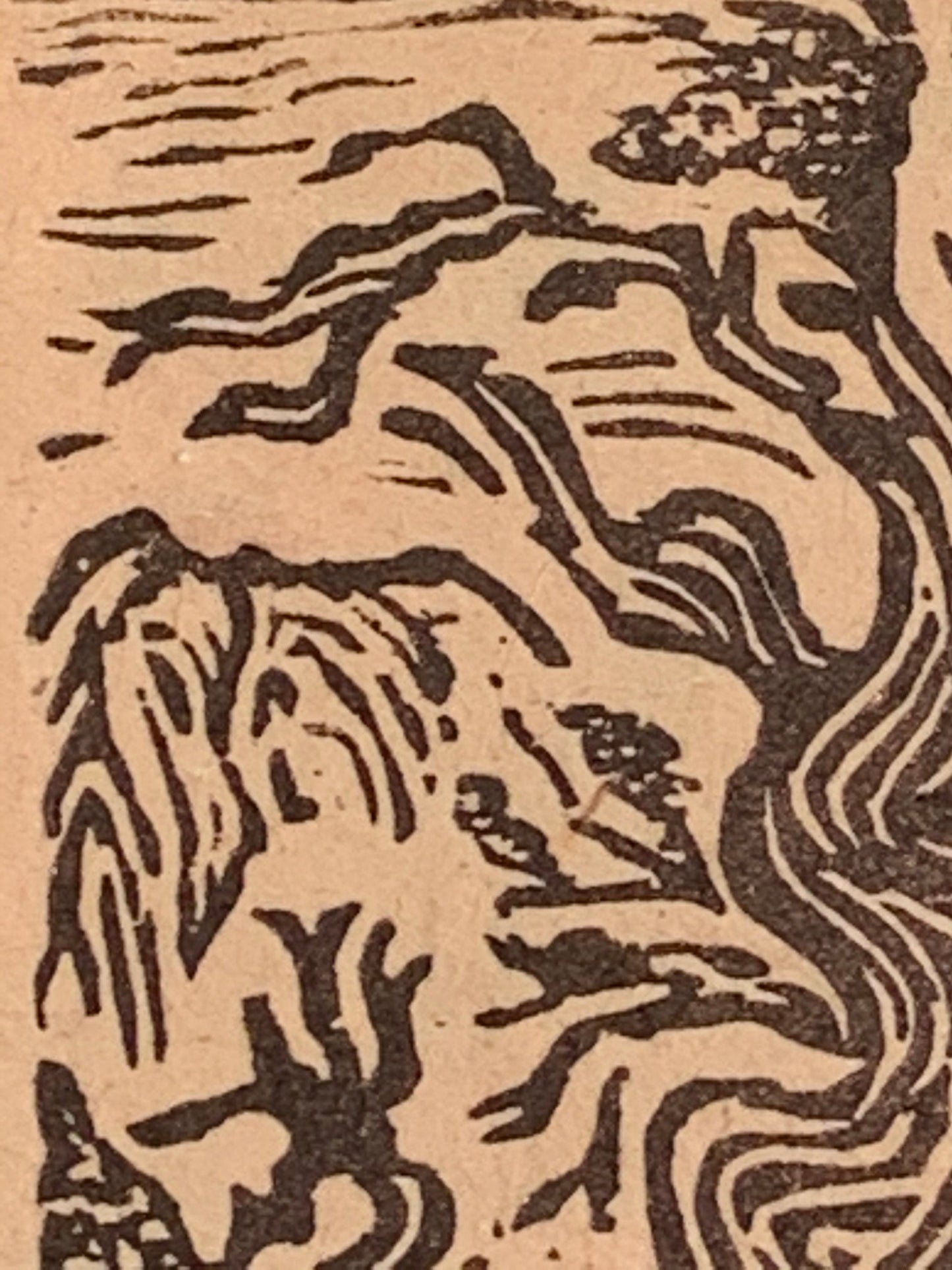 Ancient Bristlecone Pine Tree Small Original Woodcut from Alpine Mountain Trees