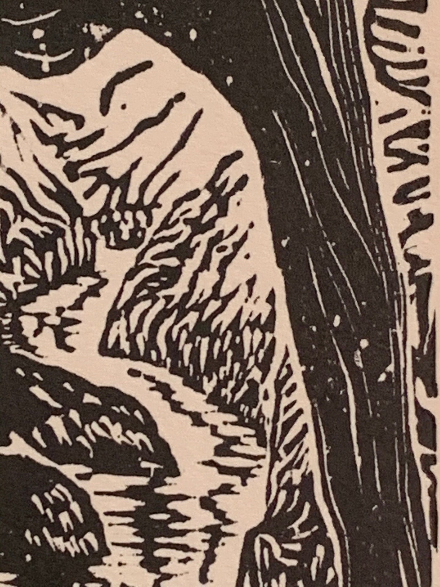 River Under a Natural Bridge original woodcut small print from Water in the Desert Landscape Collection