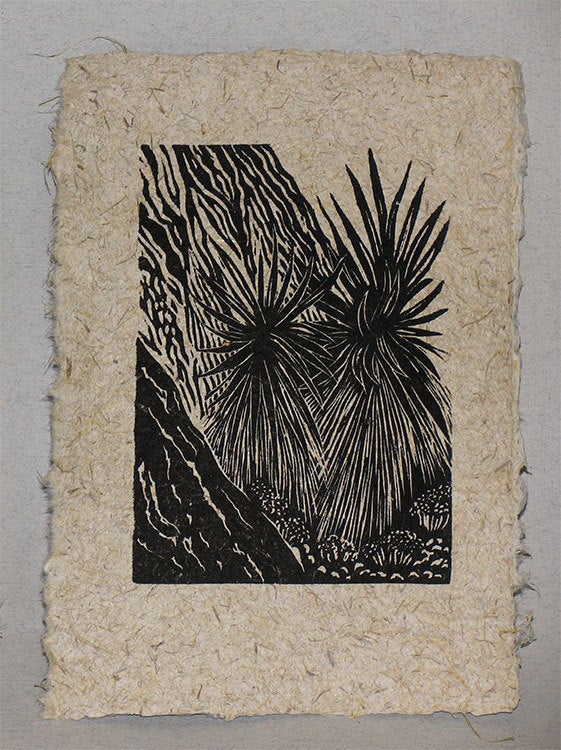Original Woodcut Starburst Yucca Mojave Desert Valley of Fire Flora Cactus