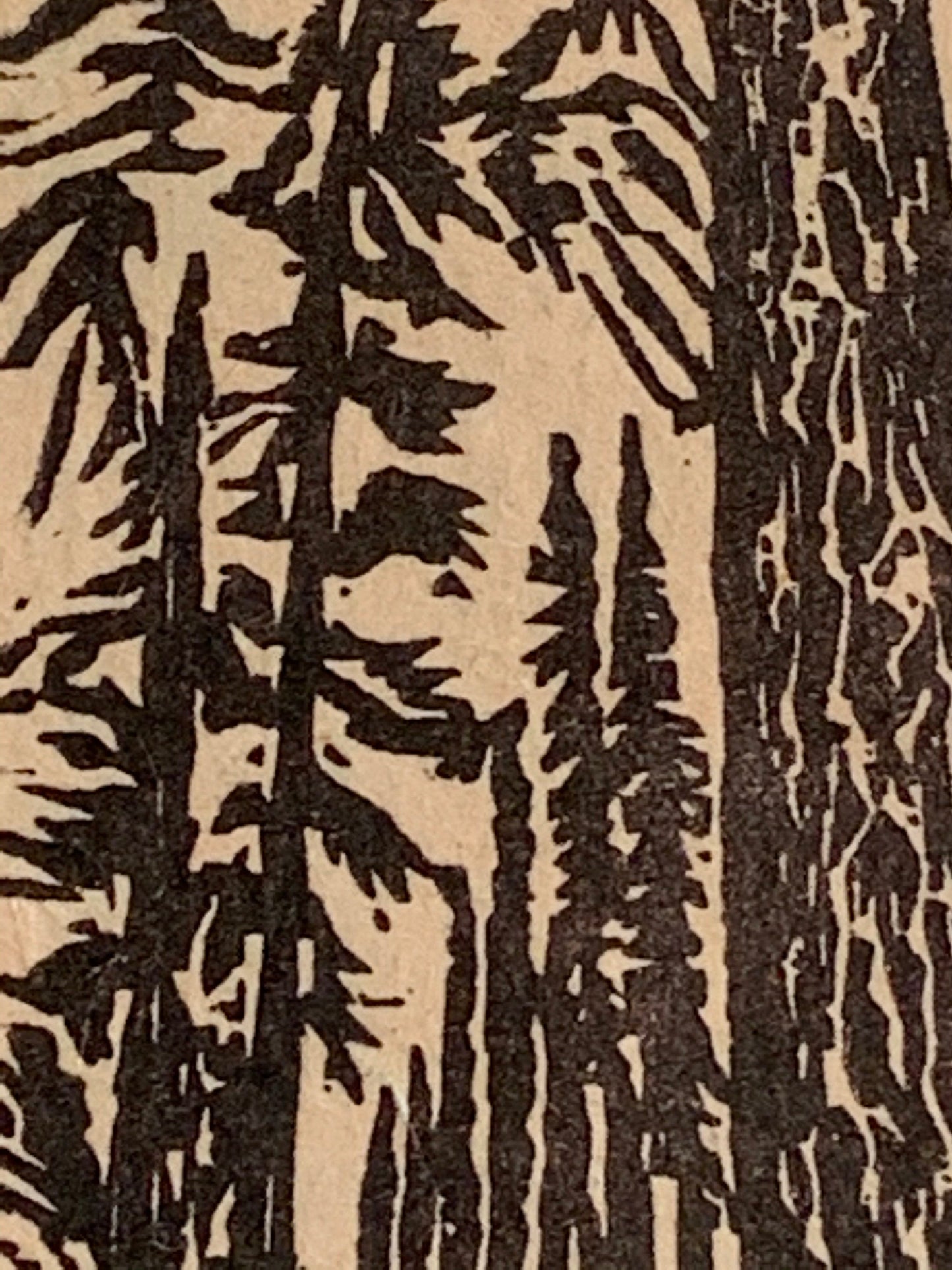 White Pine Tree Small Original Woodcut from Alpine Mountain Trees Landscape Collection