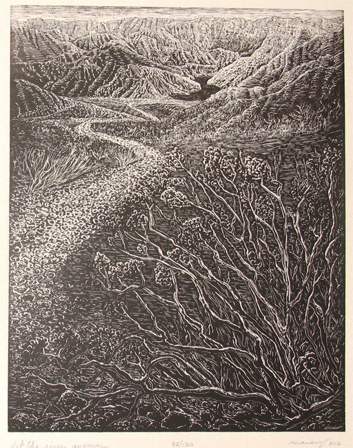 Original Wood Engraving Print Let River Answer Colorado River Desert Landscape