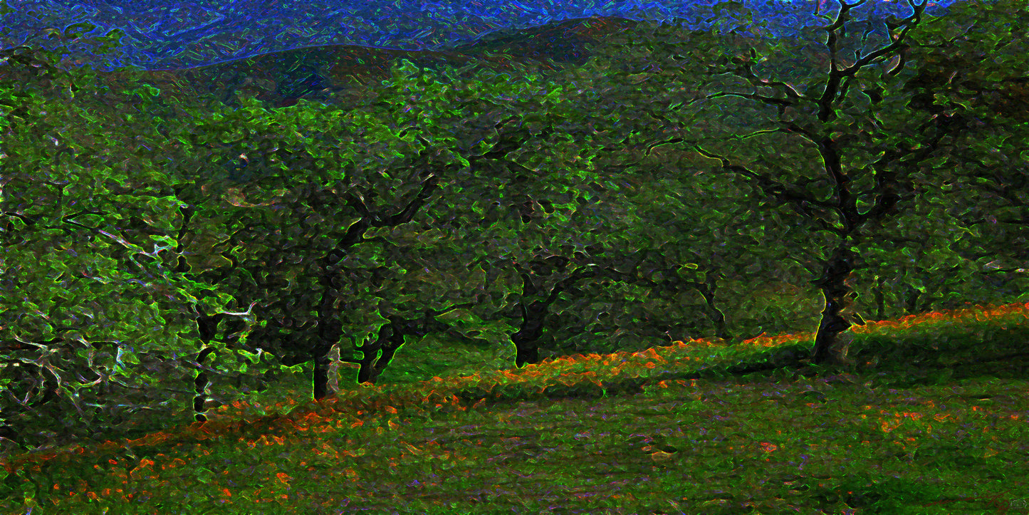 California Spring Dusk Nature Fine Art Print Tree Landscape Moody Green