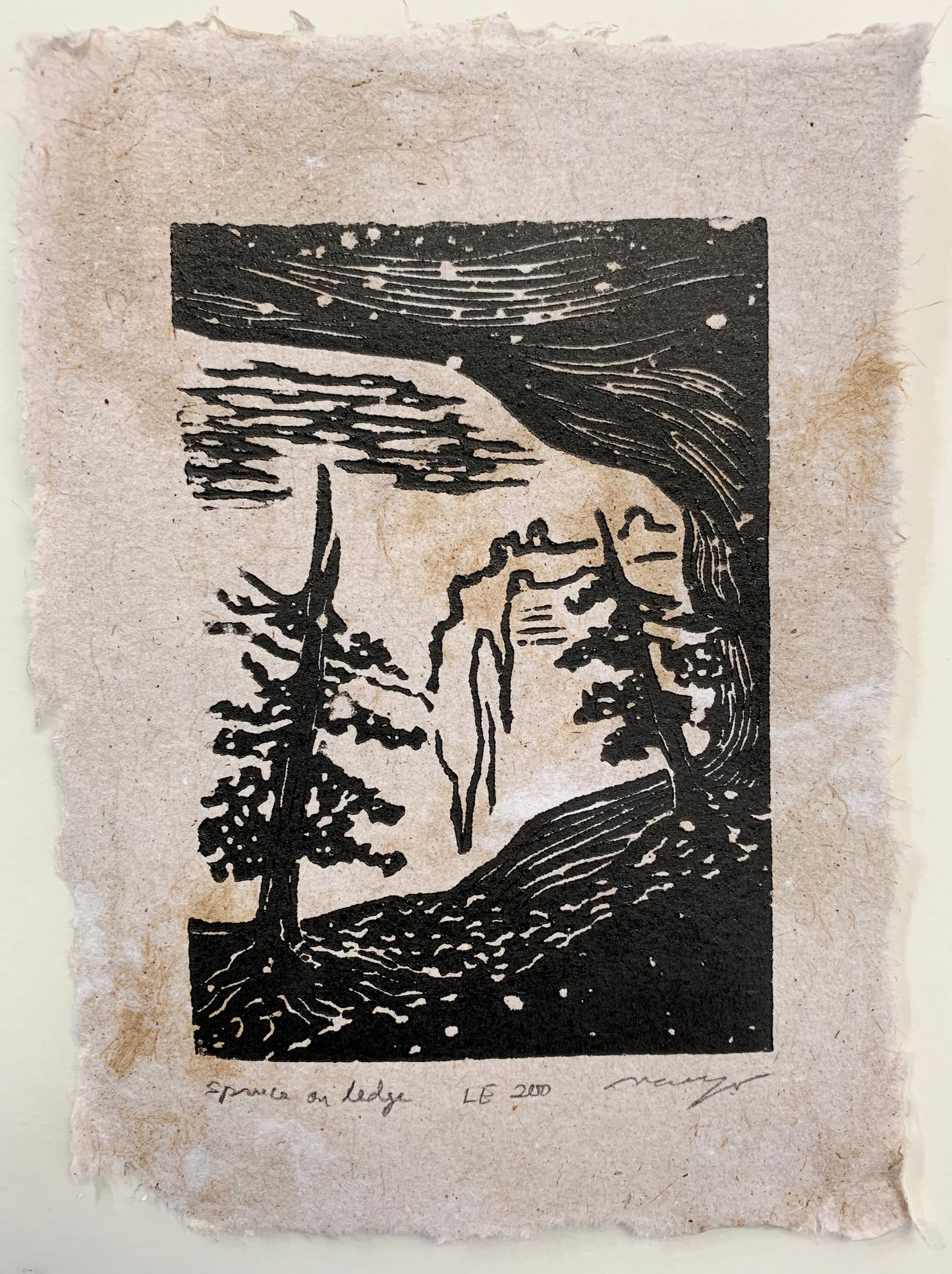 SET 9 Original Woodcut Prints Trees National Park Canyon Hiker Landscapes