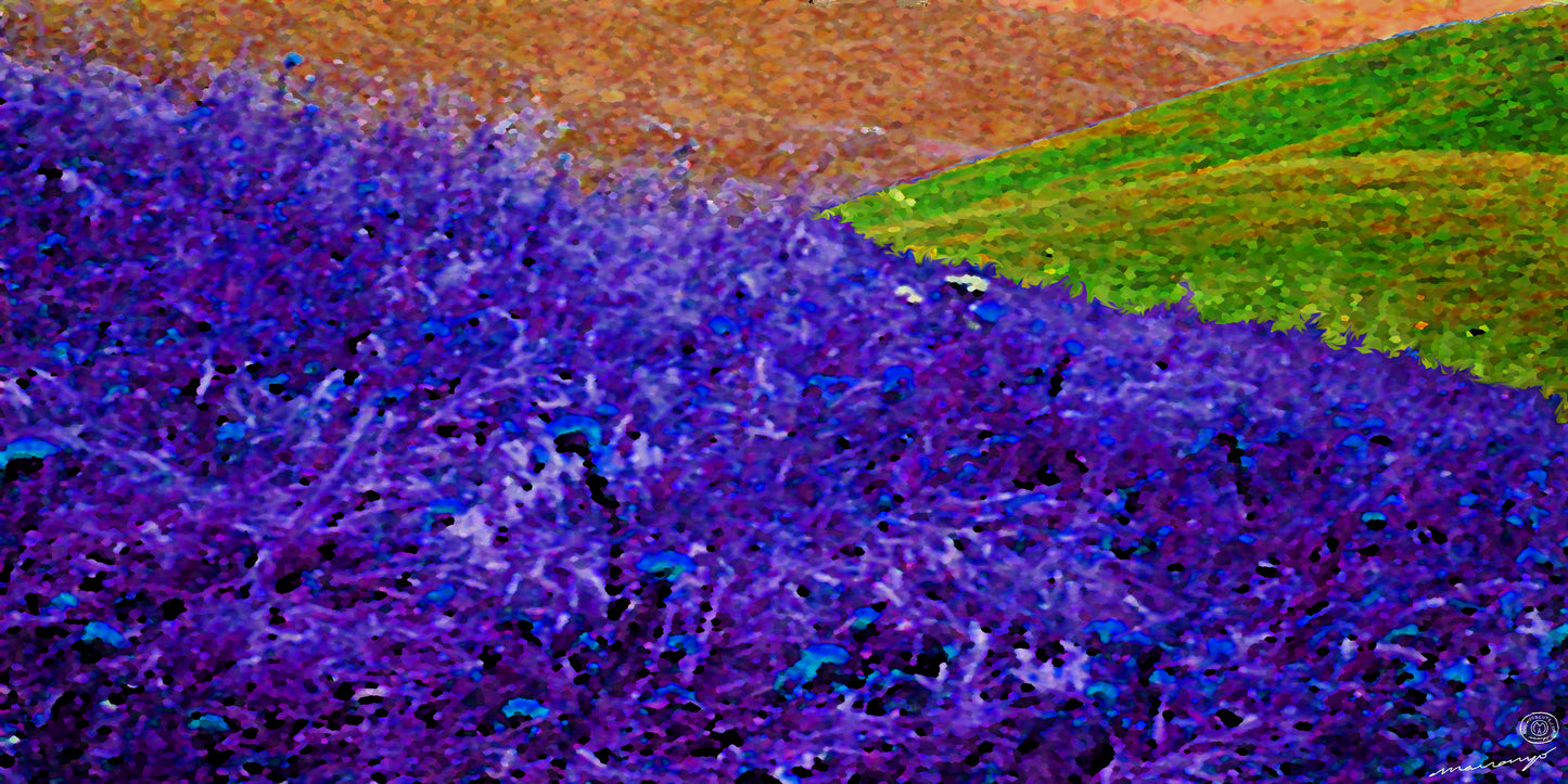 Abstraction Fine Art Print Purple Meadow Mountains Colorfields III