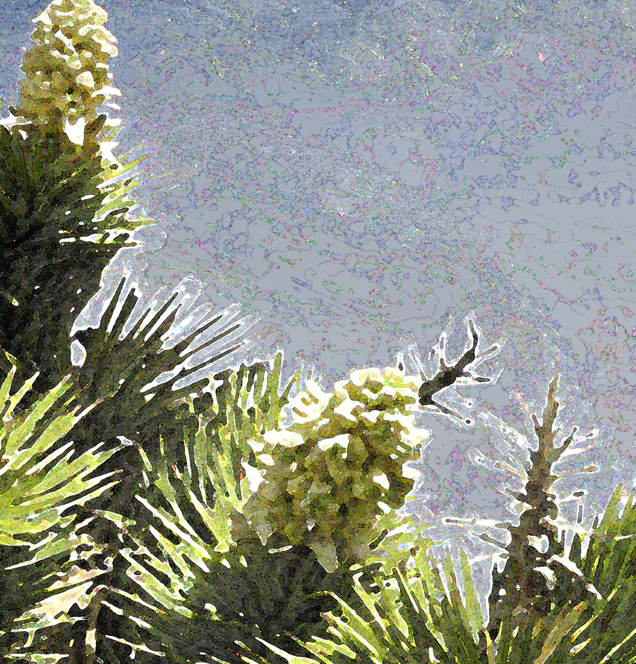 Desert Joshua Tree Blooms II Fruit Bright Fine Art Print