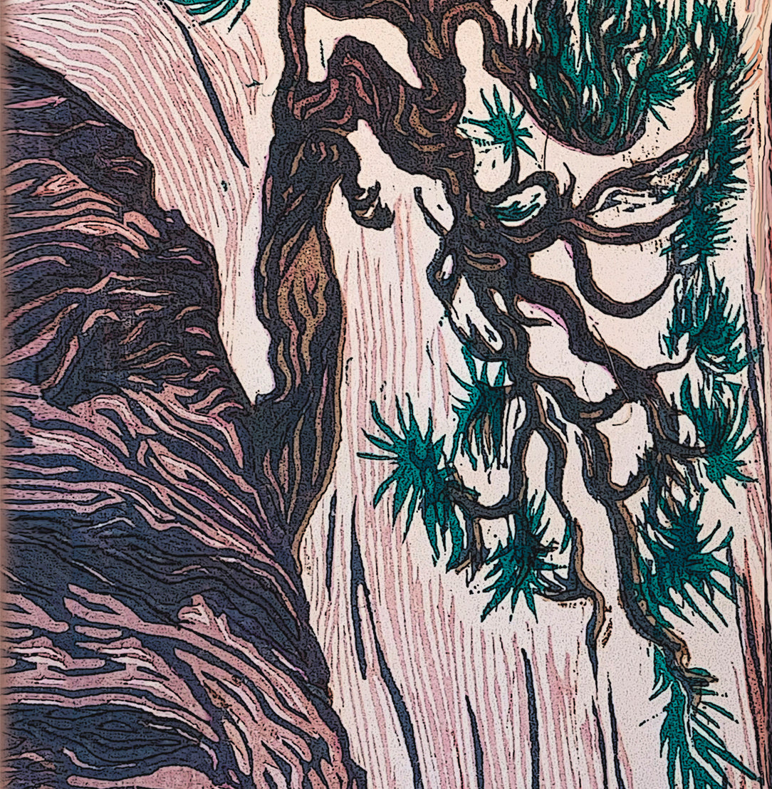 Cliff Hanger Canyon Pine Tree Japanese Woodcut Color Fine Art Print