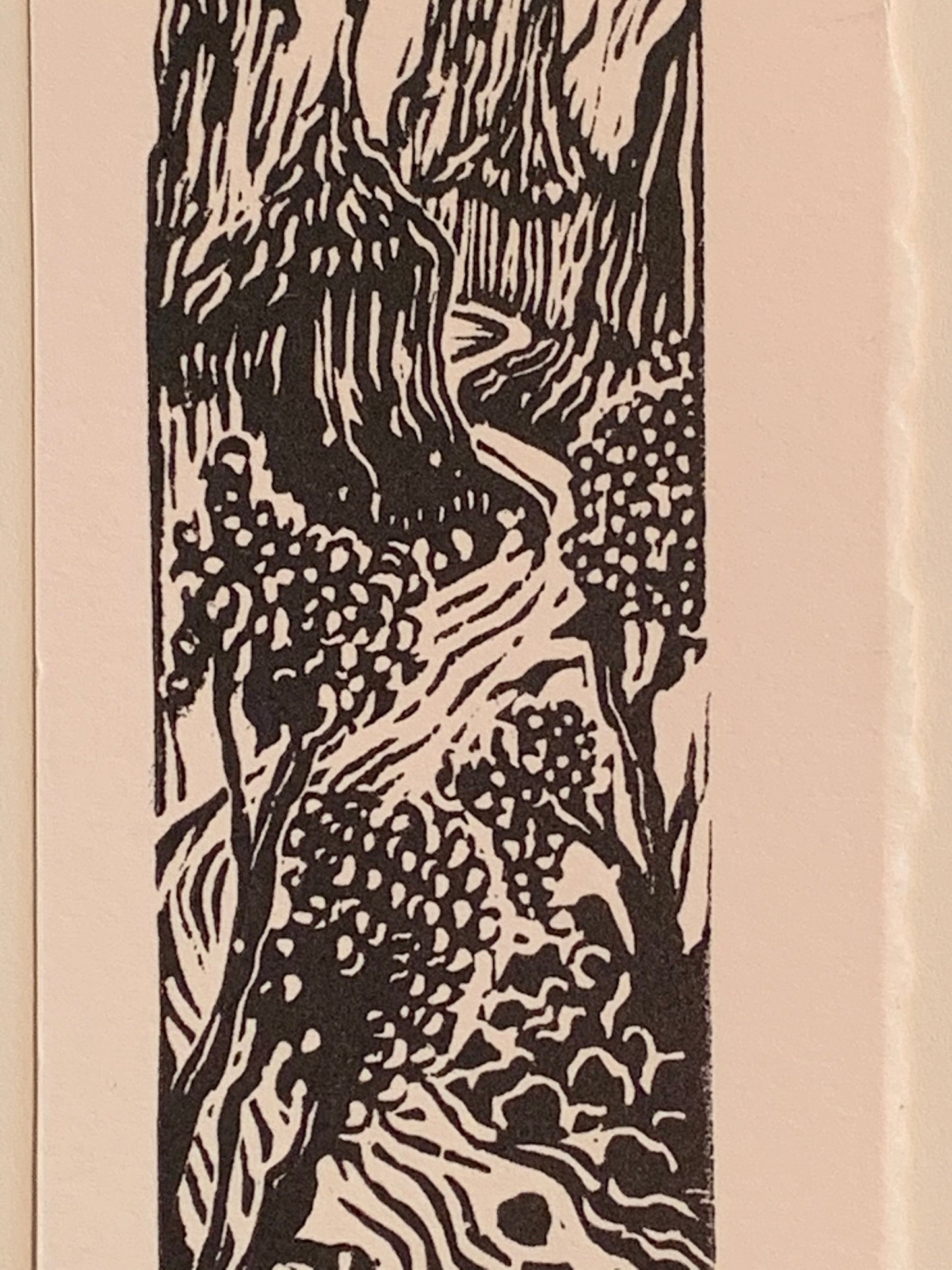 Canyon River Rapids Run original woodcut small print from Water in the Desert