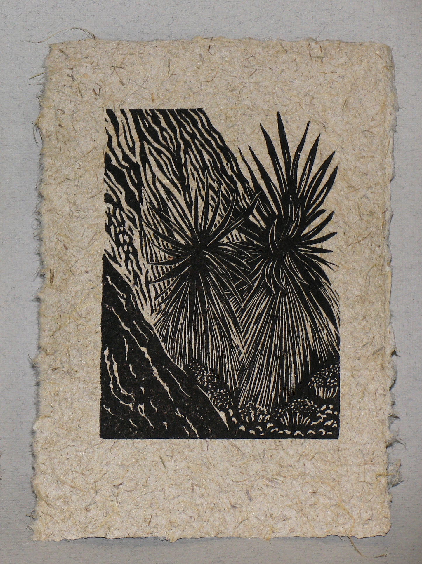 SET 9 Original Woodcut Prints Desert Landscapes Joshua Yucca