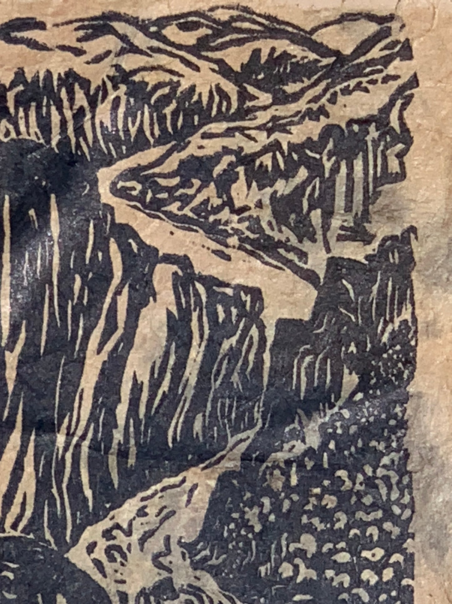 FRAMED 8X10 Original Woodcut Grand Canyon South Colorado River Lotka Paper