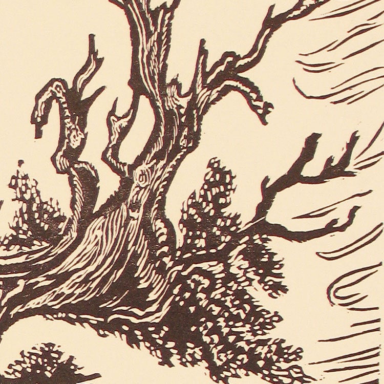 Original Art Wood Engraving Print Departure Ancient Bristlecone Pine Mountains