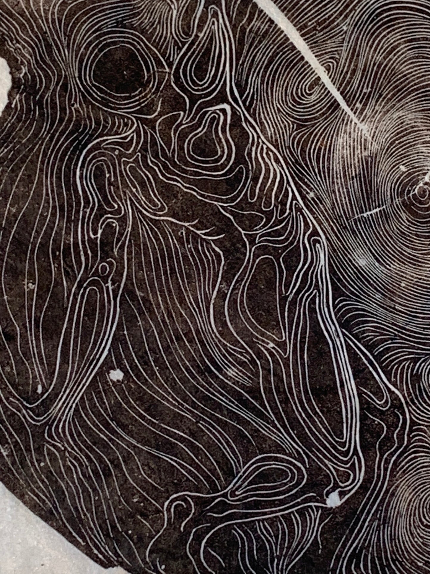 Winds Life of Tree Rings Original Wood Engraving Male in Storm Surreal
