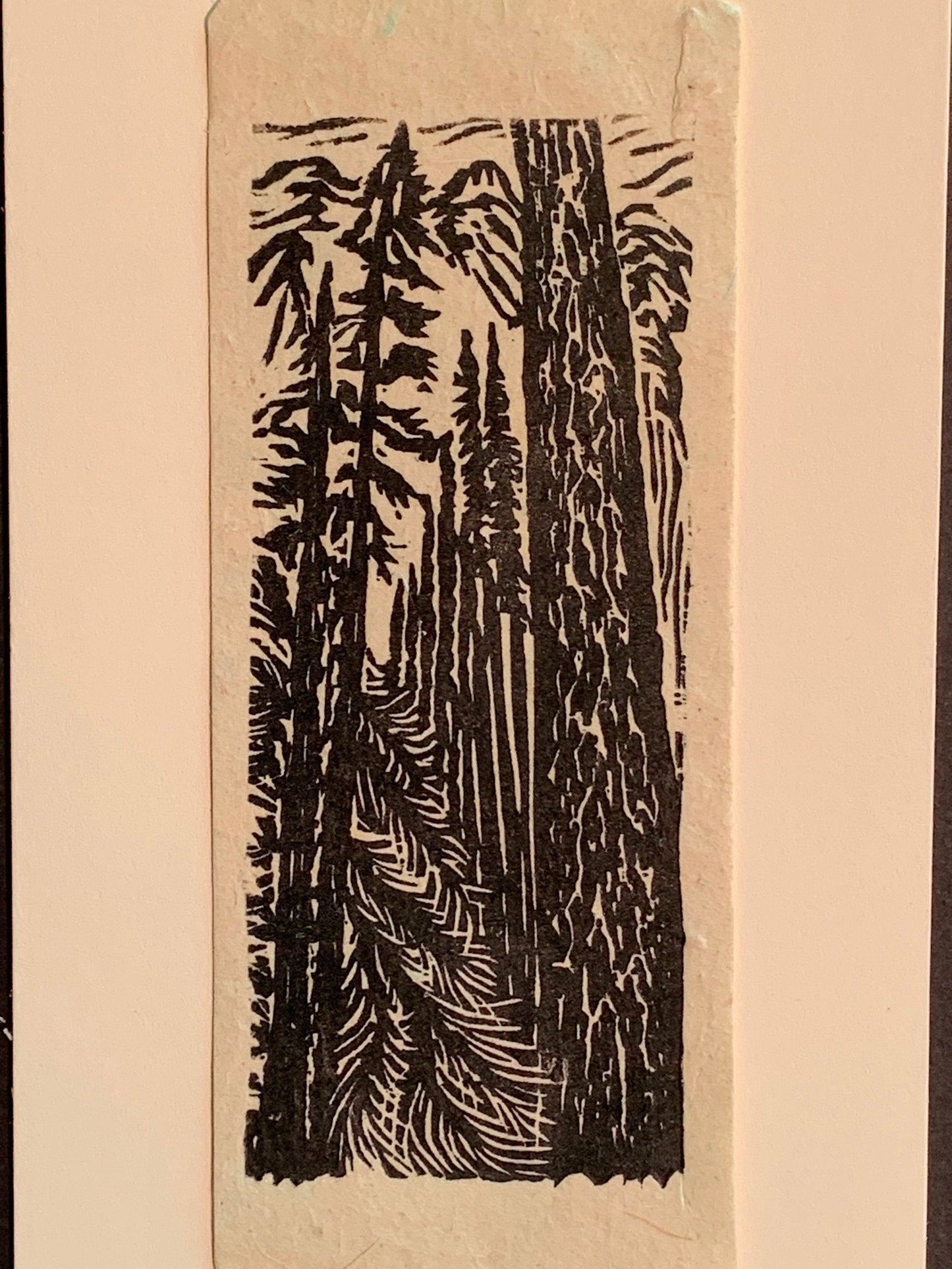 White Pine Tree Small Original Woodcut from Alpine Mountain Trees Landscape Collection