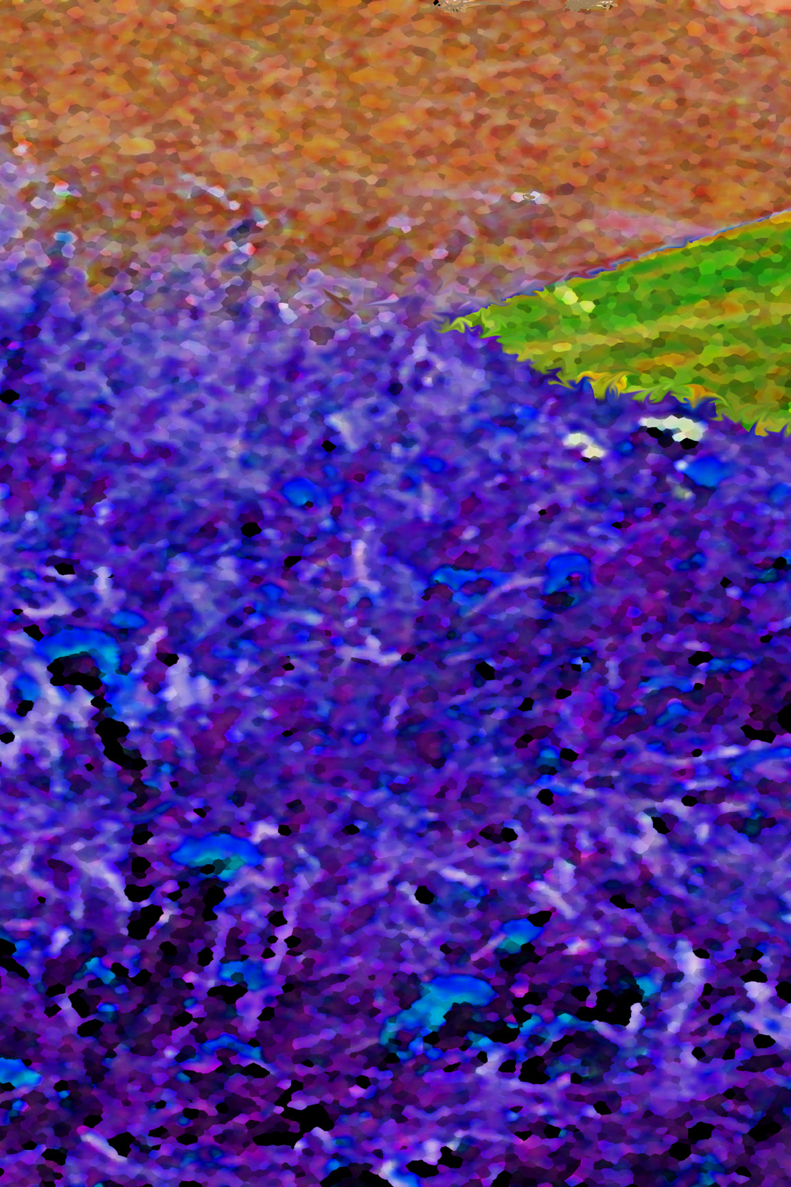 Abstraction Fine Art Print Purple Meadow Mountains Colorfields III