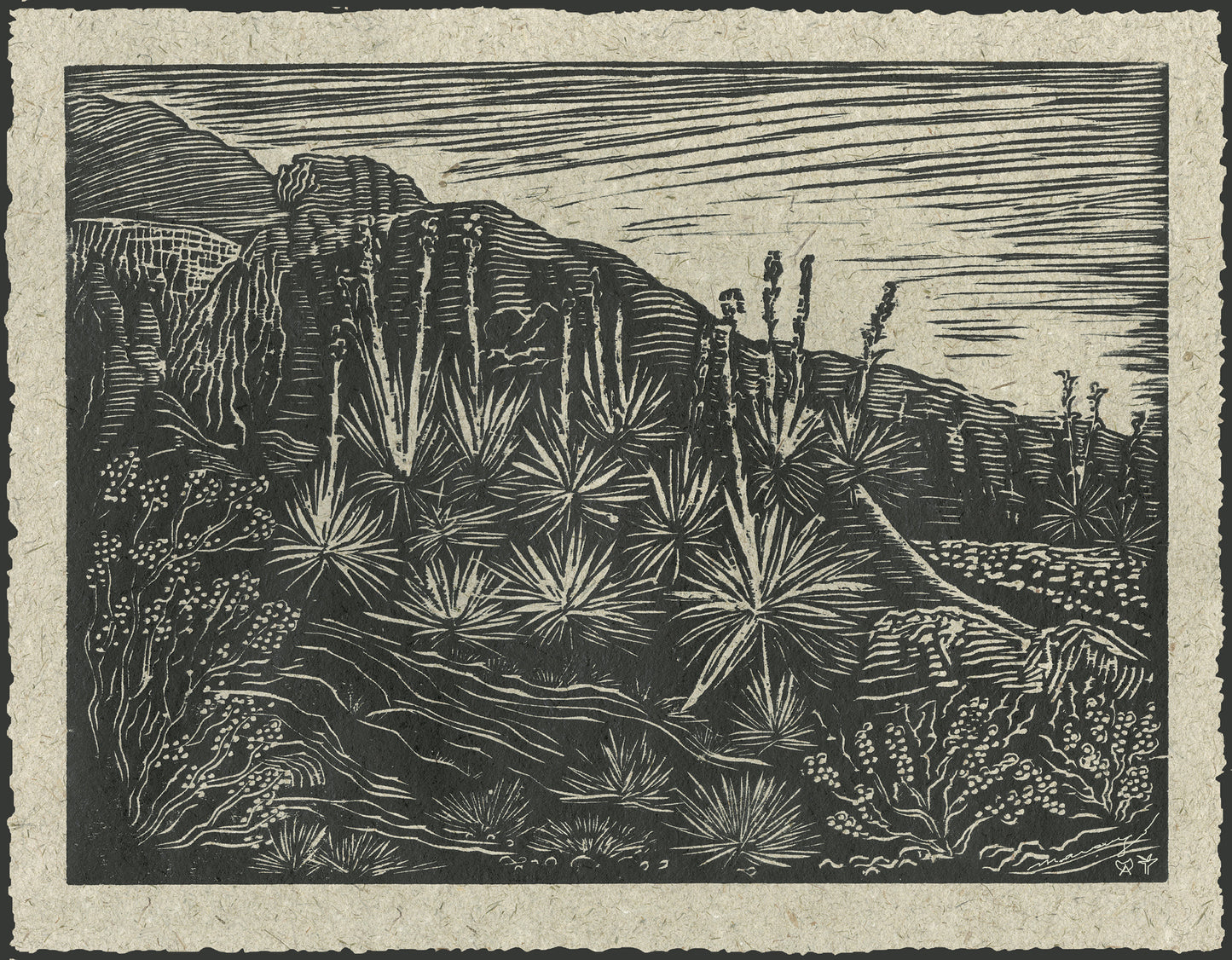 ART CARD Southwest Landscape Century Desert Plant Blooming in Spring