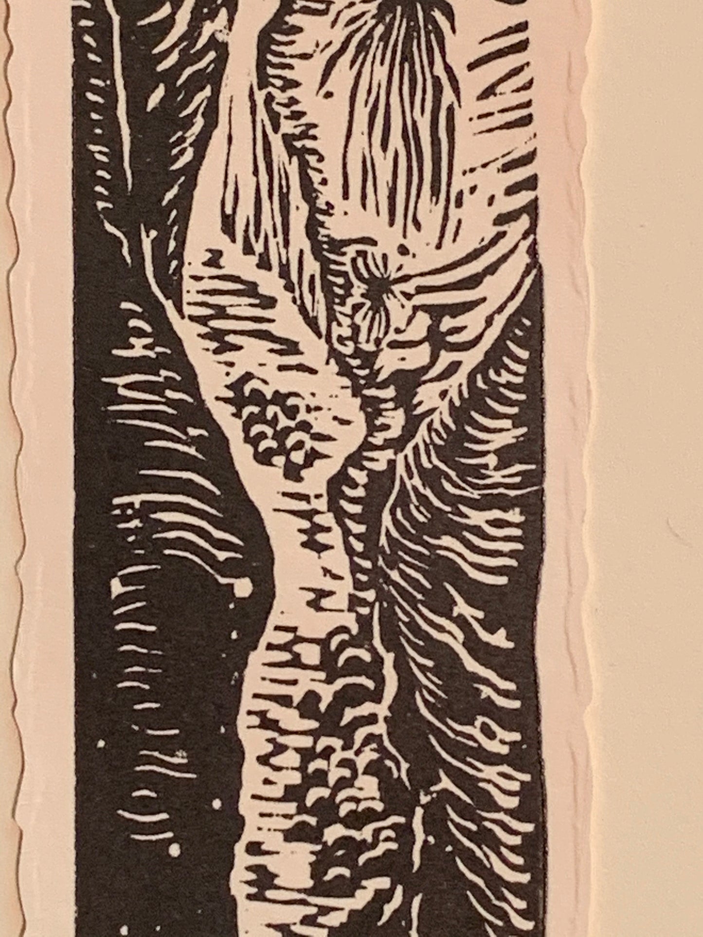 River Through a Narrow Canyon original woodcut small print from Water in the Desert Landscape Collection