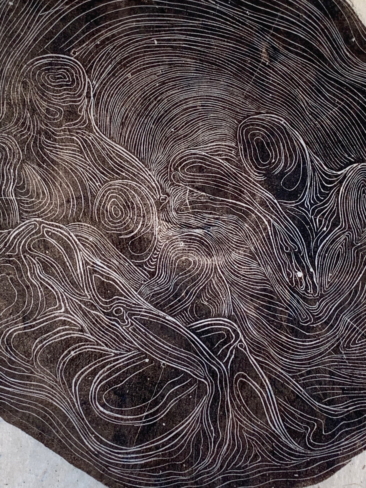 Winter Sleeping Hibernation Figures Life of Tree Rings Original Wood Engraving