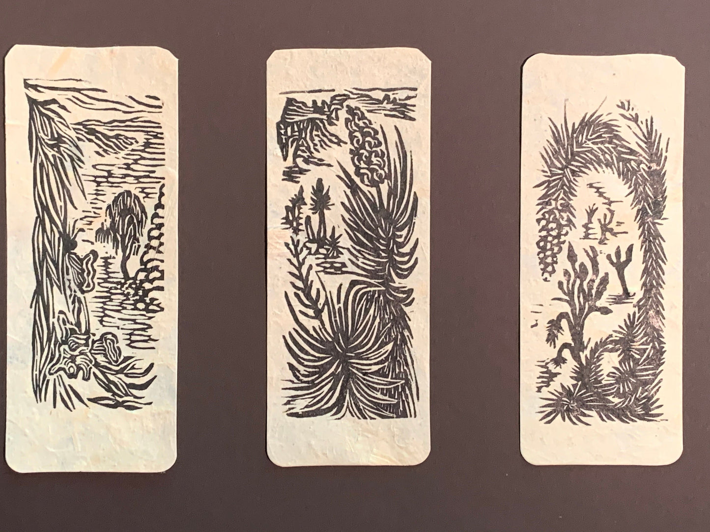 6 Small Woodcut Print Collectors Set Southwest Desert Joshua Yucca and Alpine Mountain Pine Trees