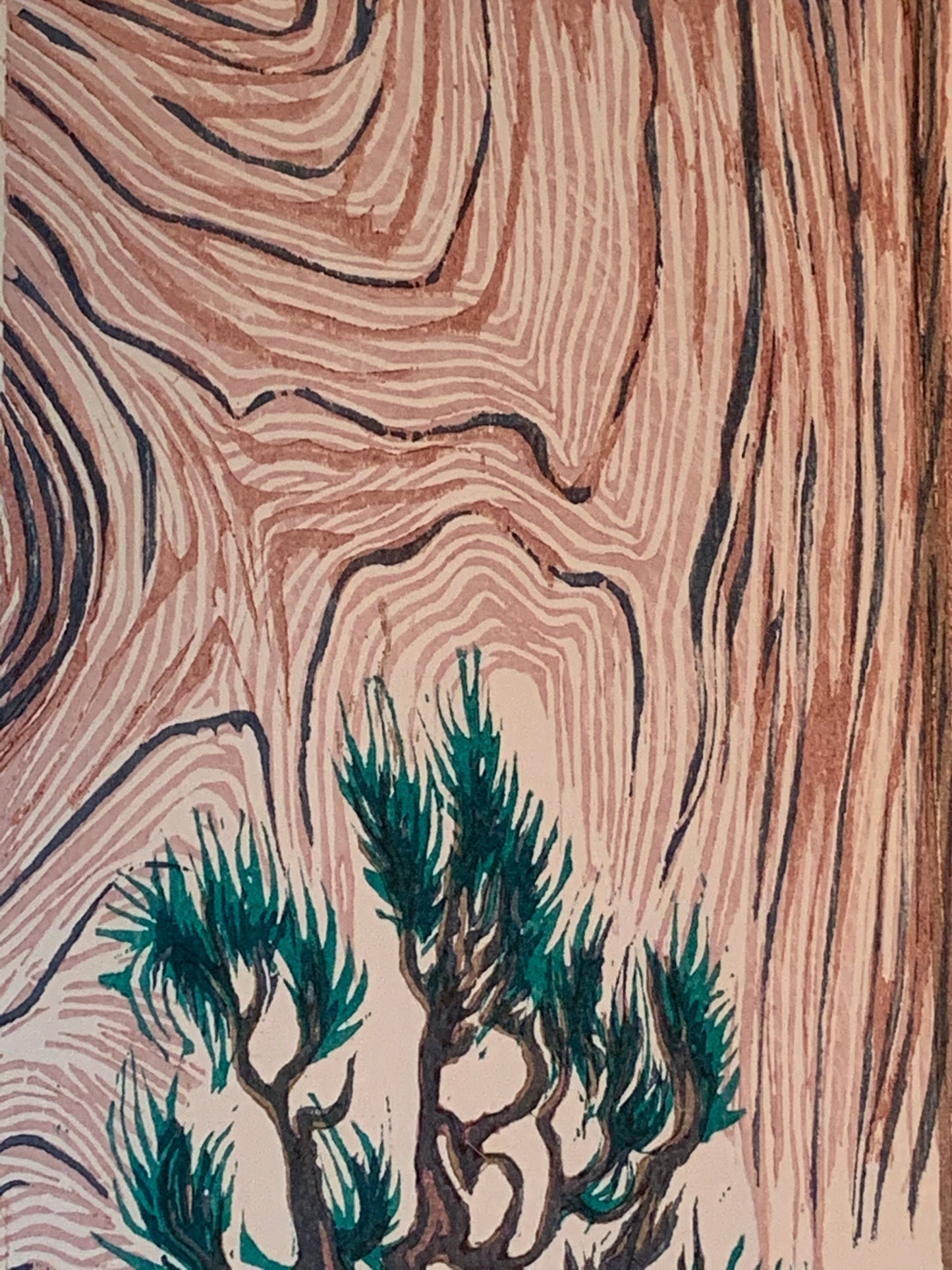 Color Woodblock Print White Pine Cliff Hanger National Park Zion Landscape