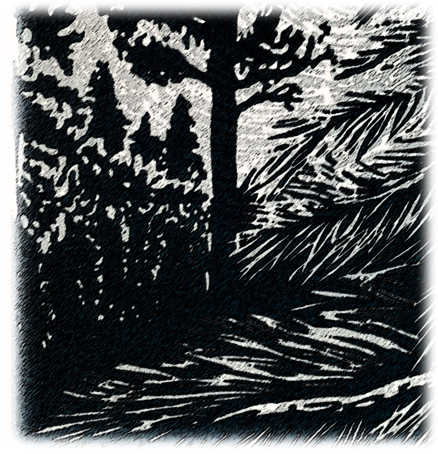 All is Bright Sumi-e Style Fine Art Print Pines Moon Silver Landscape