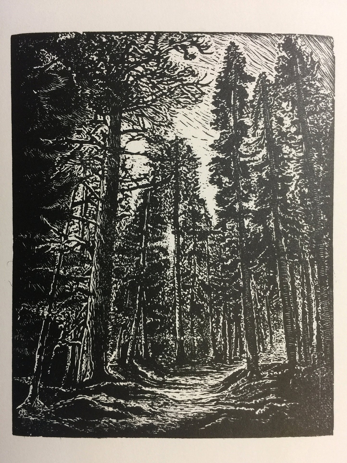 Matched Set Original Wood Engravings Two Pines Natures Peace hiking trails