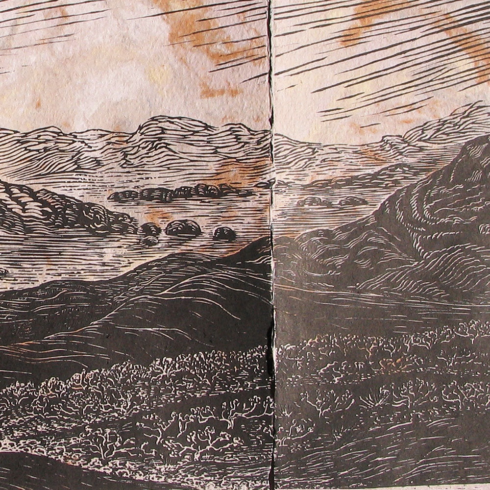 Original Print Desert Landscape Walk With Me Southwest Woodcut Triptych HM paper