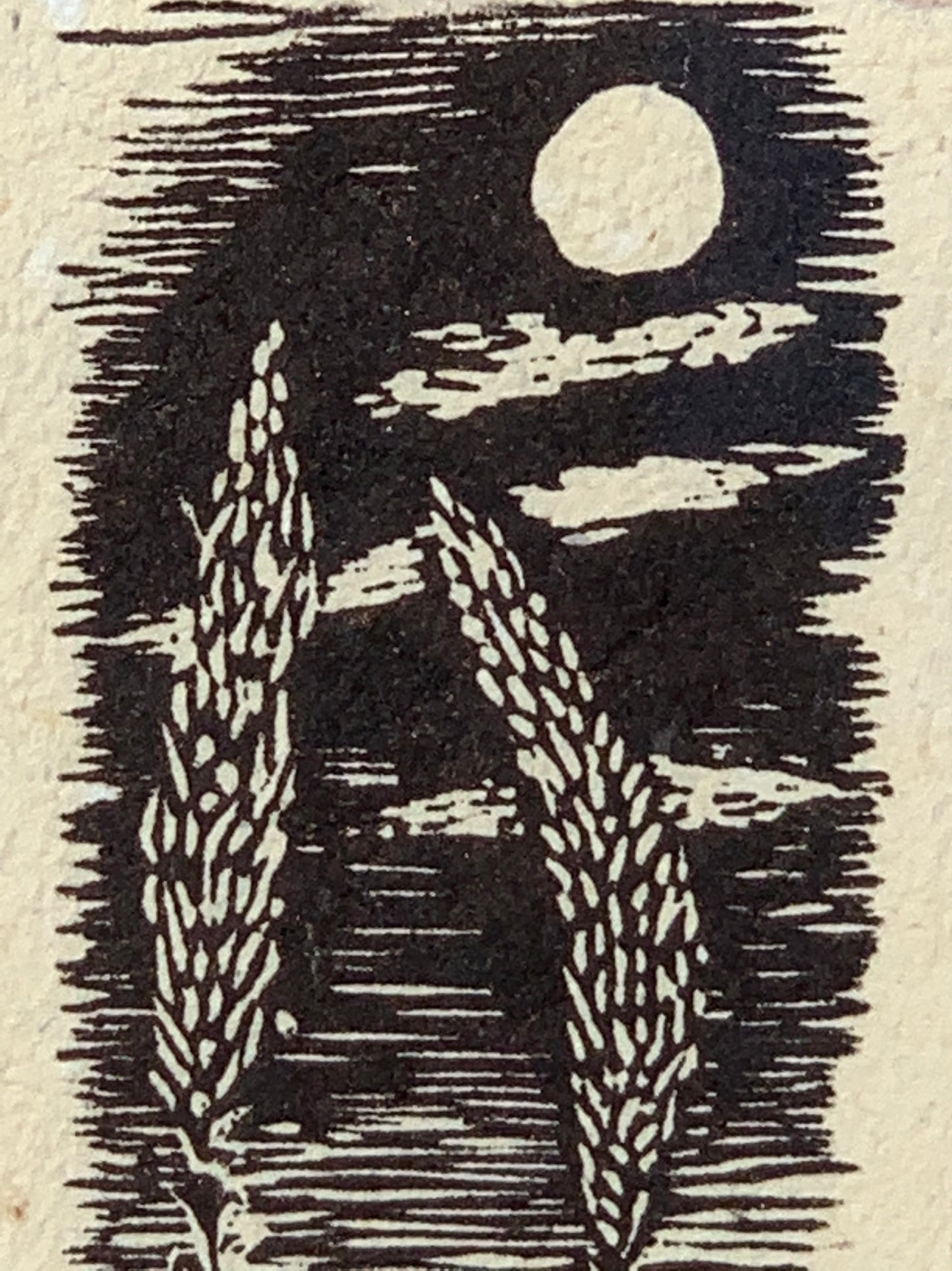 FRAMED Woodcut Agaves of the Southwest Desert Under Moonlight handmade paper