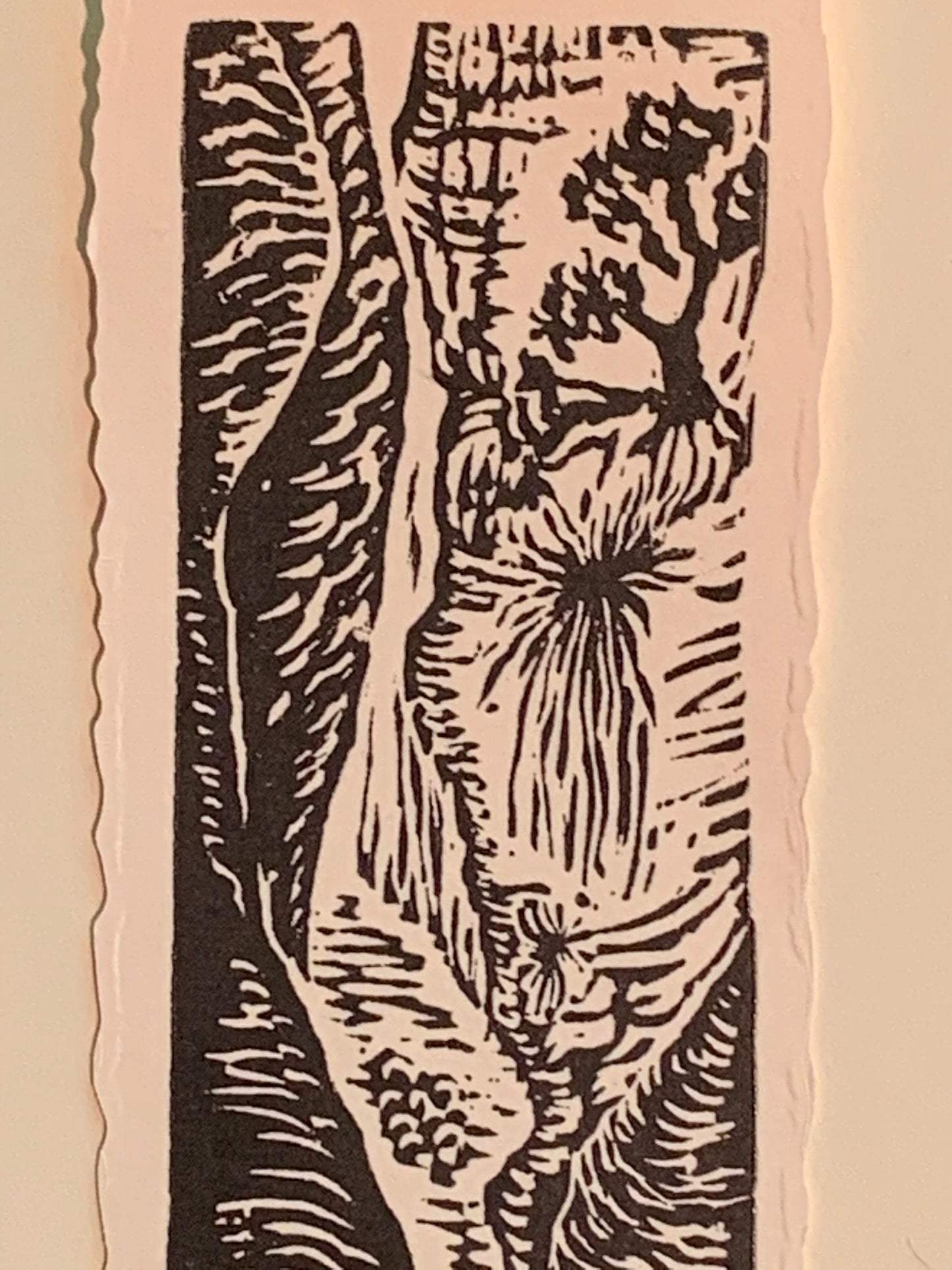 River Through a Narrow Canyon original woodcut small print from Water in the Desert Landscape Collection