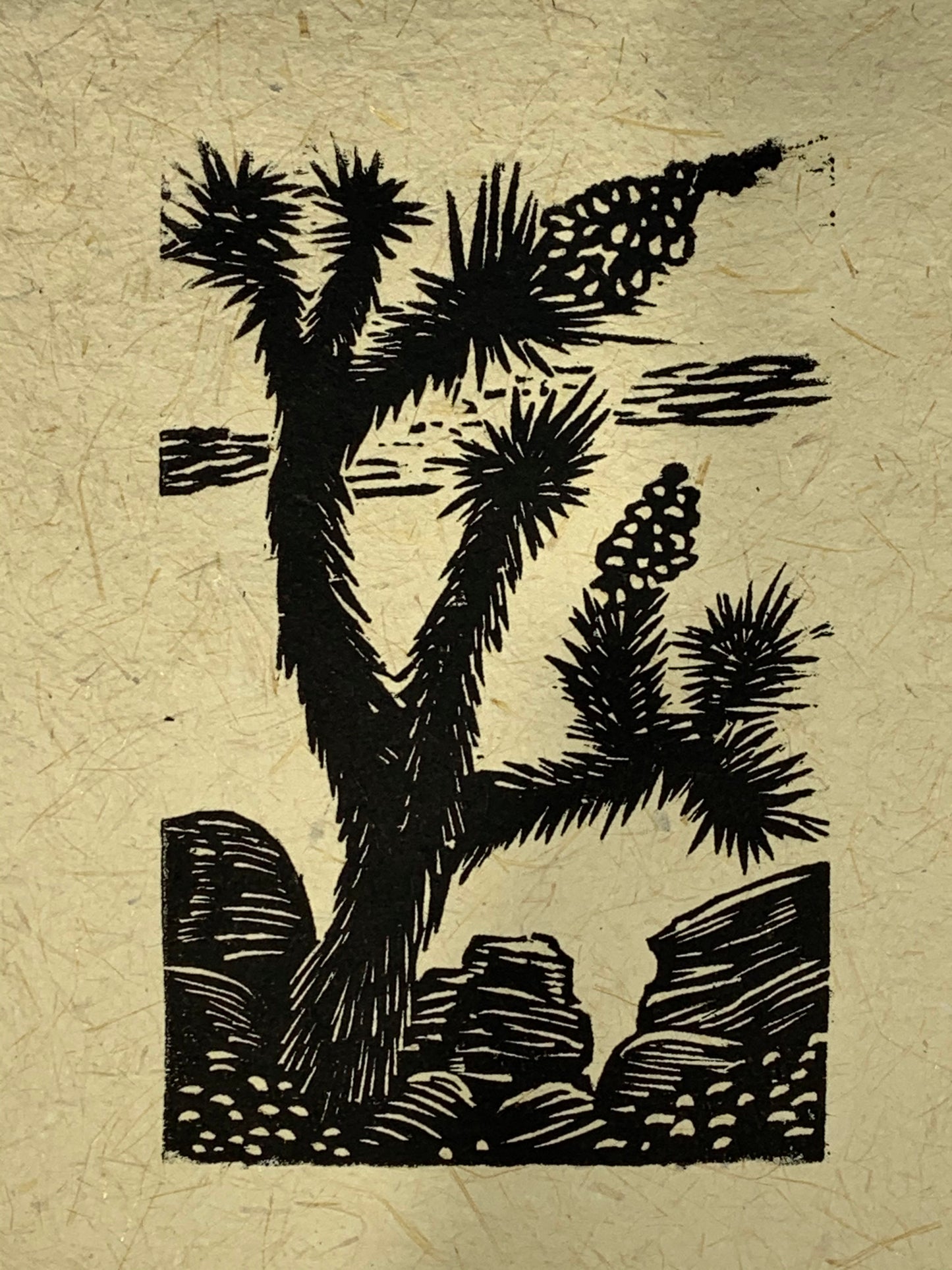 SET 9 Original Woodcut Prints Desert Landscapes Joshua Yucca