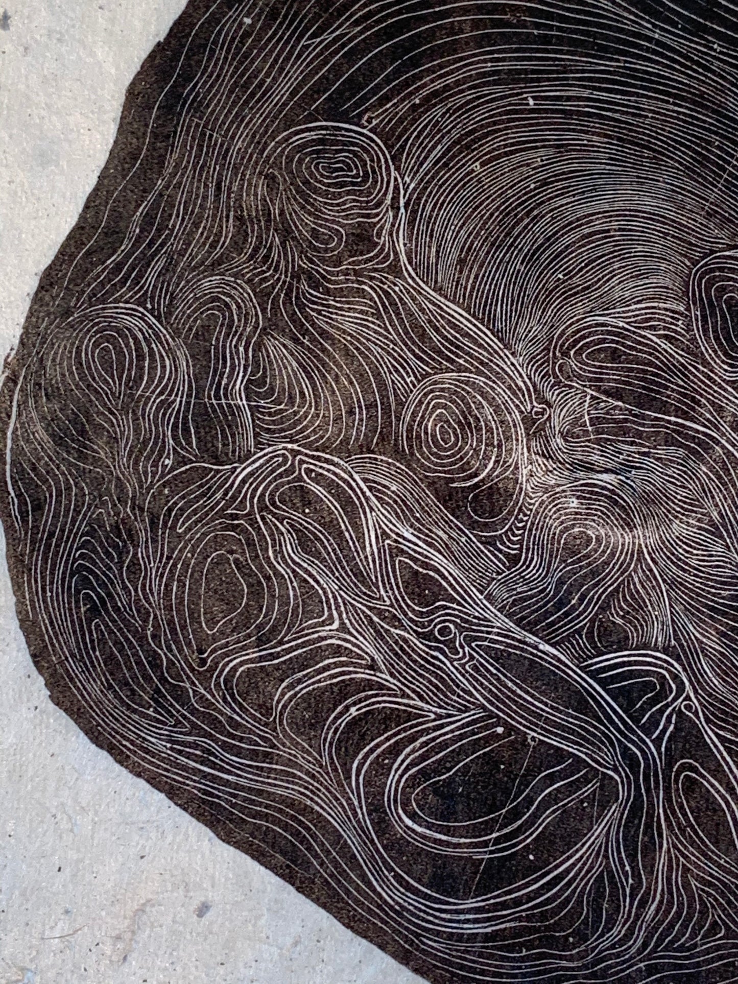 Winter Sleeping Hibernation Figures Life of Tree Rings Original Wood Engraving
